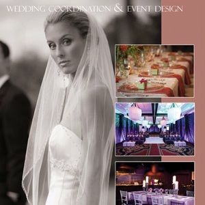 Beautiful Designer Anne Barge Wedding Gown